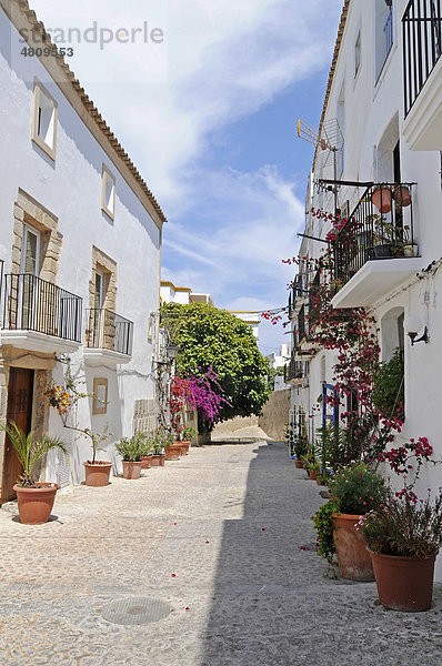 Gasse  Dalt Vila  Unesco Weltkulturerbe  historische Altstadt  Eivissa  Ibiza  Pityusen  Balearen  Insel  Spanien  Europa