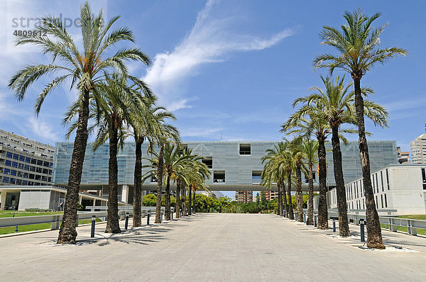 Rathaus  Palmen  Benidorm  Costa Blanca  Provinz Alicante  Spanien  Europa
