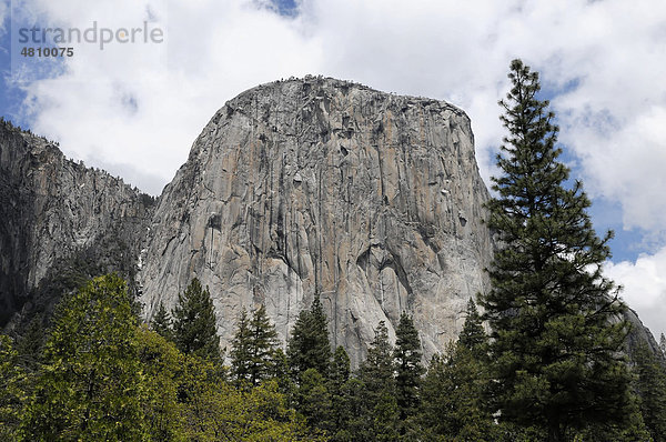 El Capitan  980m hoher Monolith  Yosemite Nationalpark  Kalifornien  USA  Nordamerika
