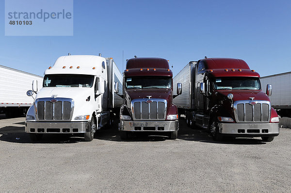 Trucker  Trucks  LKWs auf Parkplatz  Nähe San Francisco  Kalifornien  USA  Nordamerika