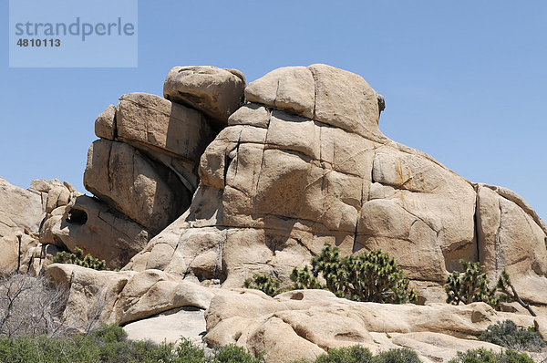 Monzogranit-Formationen  Joshua Tree Nationalpark  Palm Desert  Südkalifornien  USA  Nordamerika