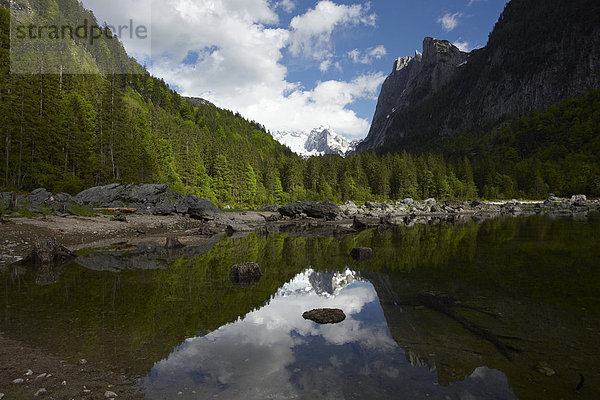 Vorderer Gosausee mit Dachstein  Salzkammergut  Oberösterreich  Österreich  Europa