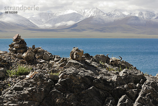 Yakschädel  schneebedeckte Gipfel des Nyenchen Thanglha am Namtso See  Himmelssee  Tibet  China  Asien