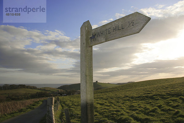 Reitweg-Wegweiser in Richtung White Hill  in der Abenddämmerung  Dorset  England  Großbritannien  Europa