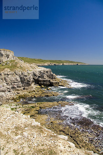 Klippen und felsige Küste mit blauem Himmel  Winspit  Dorset  England  Großbritannien  Europa