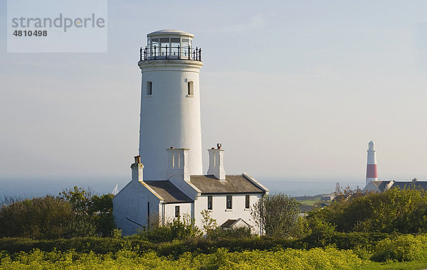 Nicht mehr genutzter weißer Leuchtturm  nun Vogelwarte  funktionierender Leuchtturm hinten  Isle of Portland  Dorset  England  Großbritannien  Europa