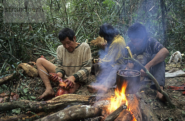 Ache-Männer  schneiden und sochen Paca (Agouti paca)  Mbaracayu Forest Reserve  Ost-Paraguay  Südamerika