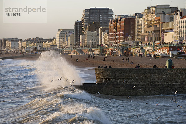 Brechende Wellen am Uferdamm  Möwenschar im Flug über Wasser  Brighton  West Sussex  England  Großbritannien  Europa