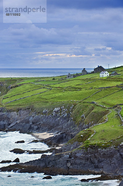 Küstenstrich mit Häusern und Feldern mit Trockenmauern  Dingle Halbinsel  County Kerry  Irland  Europa