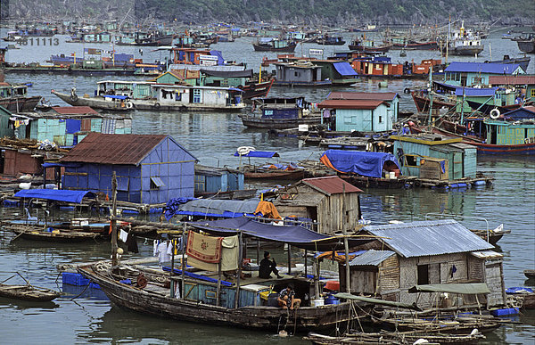 Schwimmendes Dorf  Hafen  Cat Ba Insel  Halong-Bucht  Vietnam  Südostasien