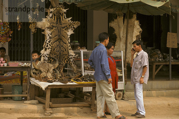 Nebelparder-Felle und Wildlife-Produkte zum Verkauf  Tachilek  Burma  Myanmar  Südostasien  Asien