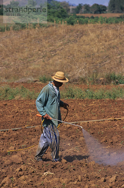 Landwirtschaft  Mann sprüht ein Feld per Hand  in der Nähe von Khao Yai Nationalpark  Thailand  Asien