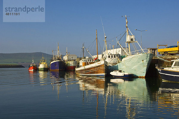 Kommerzielle Fischereiflotte im Hafen vertäut  Dingle Hafen  County Kerry  Irland  Europa