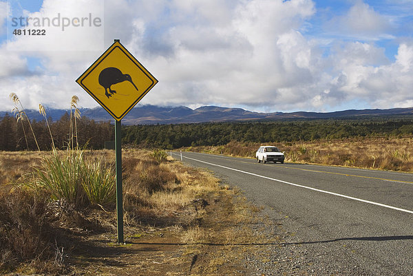 Warnschild für Kiwis  die die Straße überqueren könnten  neben Straße mit Auto  Bereich Ohakune  Nordinsel  Neuseeland