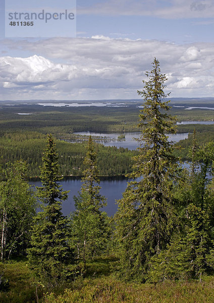 Taiga-Lebensraum  nördlicher oder borealer Nadelwald mit Seen  Finnland  Europa