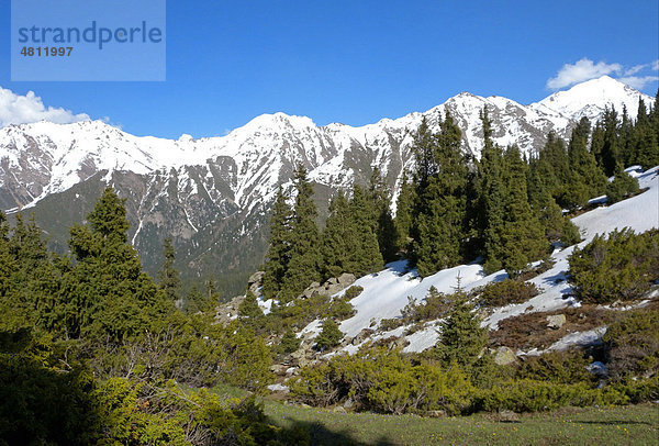 Bewaldetes Tal mit schneebedeckten Gipfeln  Ili-Alatau Nationalpark  Tien Shan Gebirge  Almaty  Kasachstan  Mittelasien
