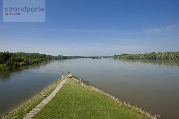 Donauverzweigung bei Baja  Ungarn  Europa