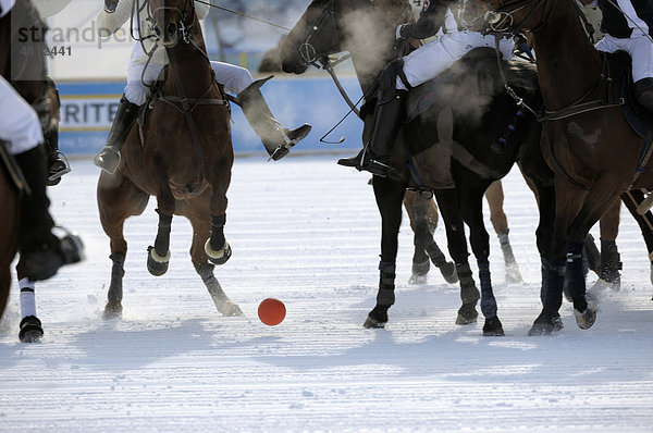 Polospieler kämpfen um den Ball  Poloturnier  26. St. Moritz Polo World Cup on Snow  St. Moritz  Oberengadin  Engadin  Graubünden  Schweiz  Europa