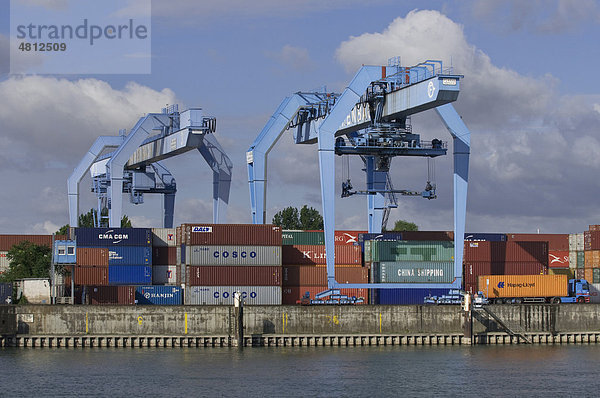 Container Hafen Mainz  Containerumschlag am Rhein  Mainz  Rheinland-Pfalz  Deutschland  Europa