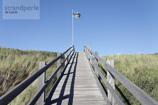Plankenweg über die Dünen  Zoutelande  Walcheren  Provinz Zeeland  Niederlande  Benelux  Europa