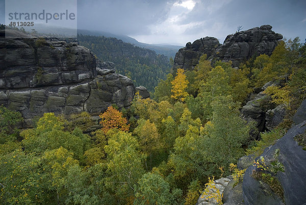 Felswände im Herbst im Elbsandsteingebirge  Sachsen  Deutschland  Europa