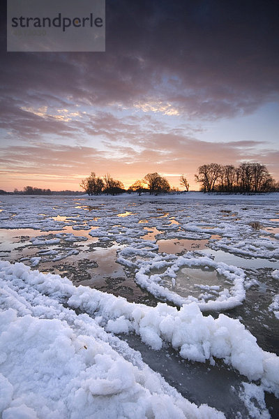 Eisschollen auf der Elbe bei Dessau zum Sonnenaufgang  Sachsen-Anhalt  Deutschland  Europa