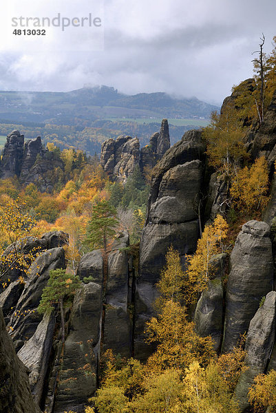 Felswände im Herbst im Elbsandsteingebirge  Sachsen  Deutschland  Europa