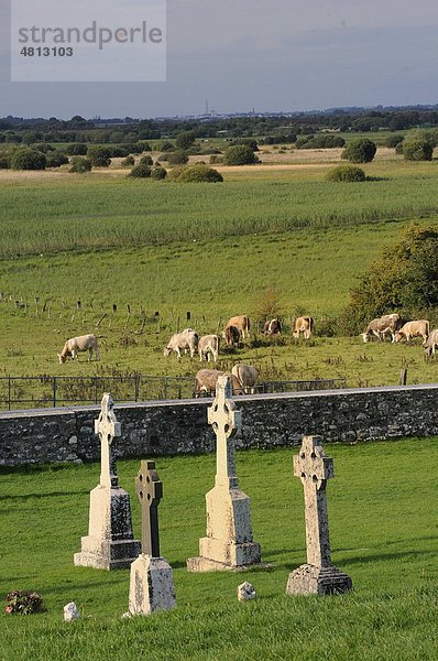 Hochkreuze bei den Klosterruinen Clonmacnoise am Shannon  Midlands  Republik Irland  Europa