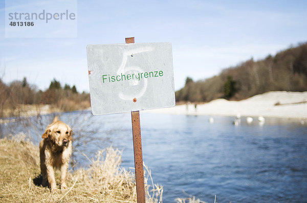Hinweisschild für Fischer und Angler an der Isar  sitzender Hund  München  Bayern  Deutschland  Europa