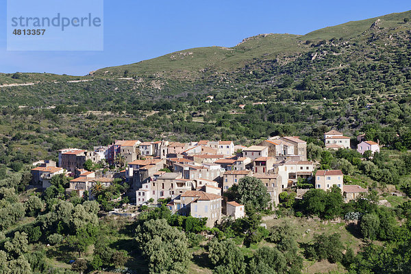 Aregno  Balagne  Korsika  Frankreich  Europa