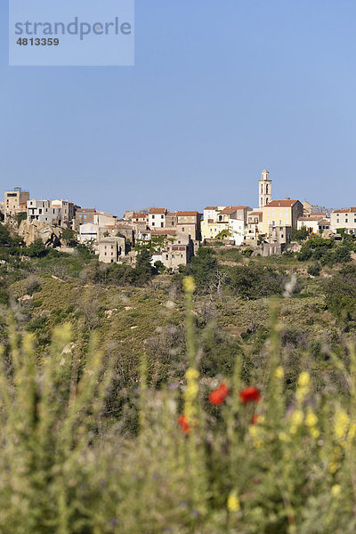 Montemaggiore  Balagne  Korsika  Frankreich  Europa