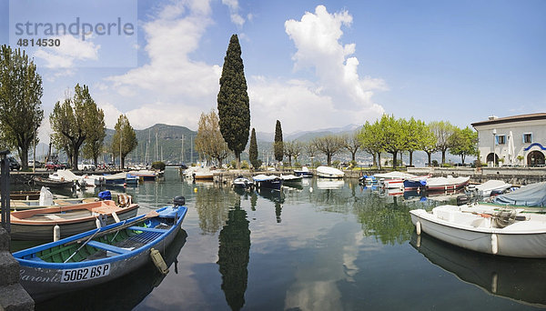 Hafen von Porto Portese mit Zypresse  Gardasee  Lombardei  Italien  Europa