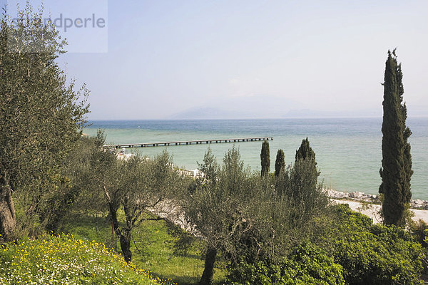 Park in Sirmione mit Blick auf den Gardasee  Lombardei  Italien  Europa