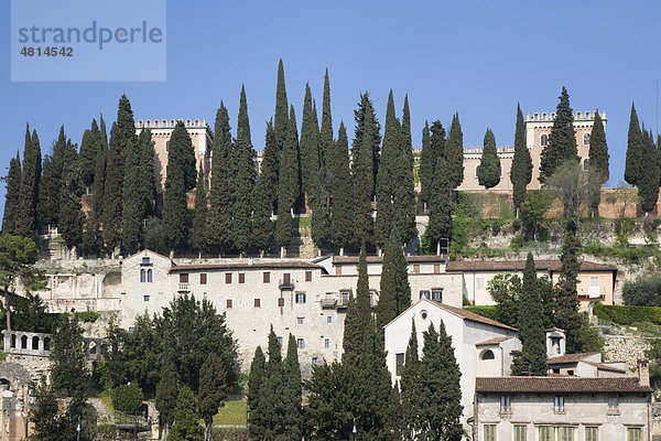 Castel San Pietro inmitten von Zypressen  Verona  Venetien  Italien  Europa