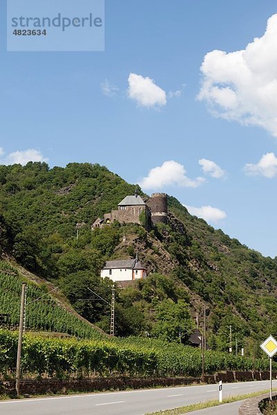 Europa  Deutschland  Rheinland-Pfalz  Blick auf Schloss Bischofstein