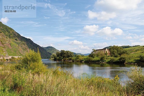 Europa  Deutschland  Rheinland-Pfalz  Mosel  Blick auf Fluss und Klosterruine Stuben bei Bremm