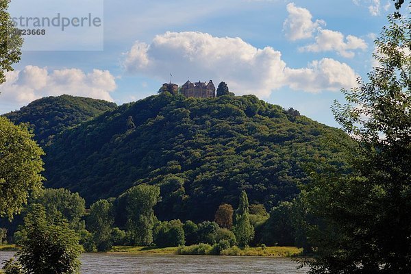 Europa  Deutschland  Rheinland-Pfalz  Blick auf Fluss und Schloss Rheineck auf dem Berggipfel