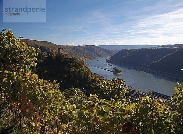 Europa  Deutschland  Rheinland-Pfalz  Blick auf gutenfels und Schloss Pfalz