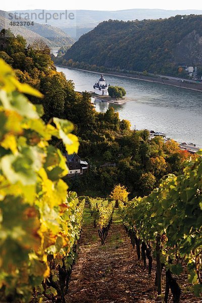 Europa  Deutschland  Rheinland-Pfalz  VIew der Pfalz aus Weinbergen