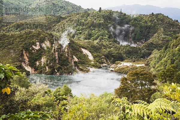 Neuseeland  Nordinsel  Blick auf das Waimangu Vulkantal