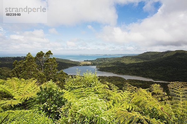Neuseeland  Nordinsel  Blick auf die Waitakere Range Regionalpark
