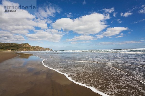 Neuseeland  Nordinsel  Blick auf Bethells Strand mit Tasman Meer