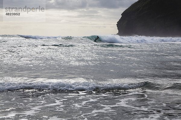 Neuseeland  Nordinsel  Surfer im Tasmanischen Meer am Bethells Beach