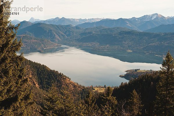 Deutschland  Bayern  Blick auf heimgarten und herzogstand alps