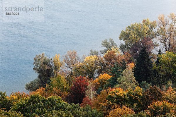 Österreich  Niederösterreich  Wachau  Donau  Blick auf Bäume am Fluss im Herbst