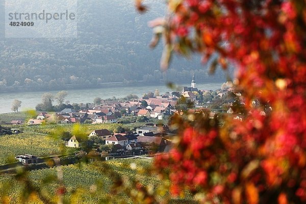 Österreich  Niederösterreich  Wachau  Unterloiben  Blick auf Dorf und Donau
