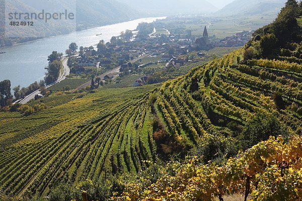 Österreich  Niederösterreich  Waldviertel  Wachau  Weißenkirchen  Achleiten  Blick auf Weinberg und Donau