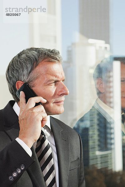 Deutschland  Frankfurt  Geschäftsmann am Telefon im Büro