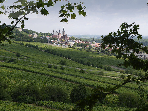 Weinbauregion Oppenheim mit Katharinenkirche  Oppenheim  Rheinhessen  Rheinland-Pfalz  Deutschland  Europa