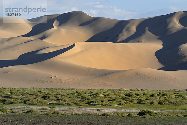 Saftig grüne Graslandschaft vor den großen Sanddünen Khorgoryn Els in der Wüste Gobi  Gurvan Saikhan Nationalpark  Ömnögov Aimak  Mongolei  Asien